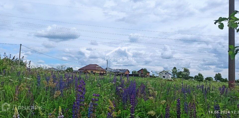 земля р-н Смоленский д Богородицкое ул Рублевская фото 5