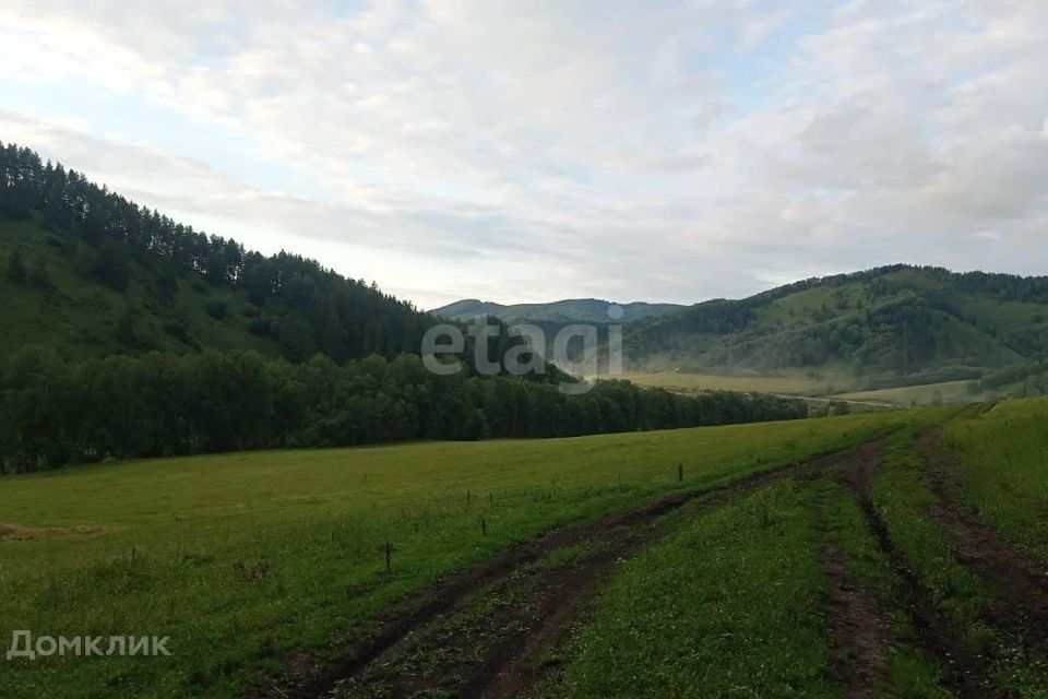 земля р-н Майминский село Бирюля фото 1