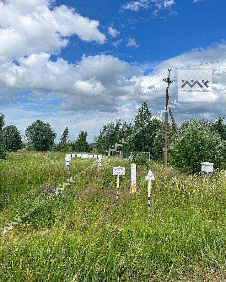 земля р-н Тосненский п Тельмана Тельмановское городское поселение фото 3