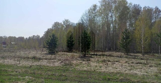 земля ул Северная Краснопольское сельское поселение, Челябинск фото