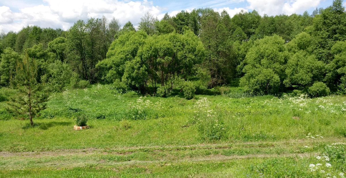 земля р-н Людиновский д Савино сельское поселение Село Заречный, Людиново фото 15