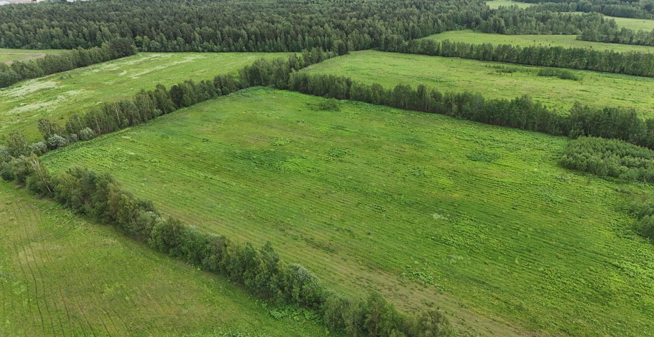 земля г Электросталь п Фрязево 9763 км, Носовихинское шоссе фото 3