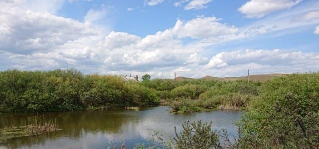 земля р-н Емельяновский снт Палати Рябиновая ул, Красноярск фото 3