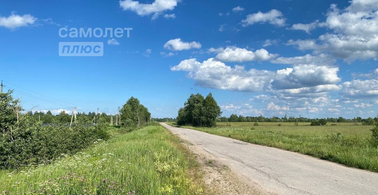 земля р-н Псковский д Тупы Псков, Логозовская волость фото 8