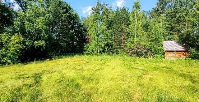 с Юксеево ул Центральная 1 Большая Мурта фото