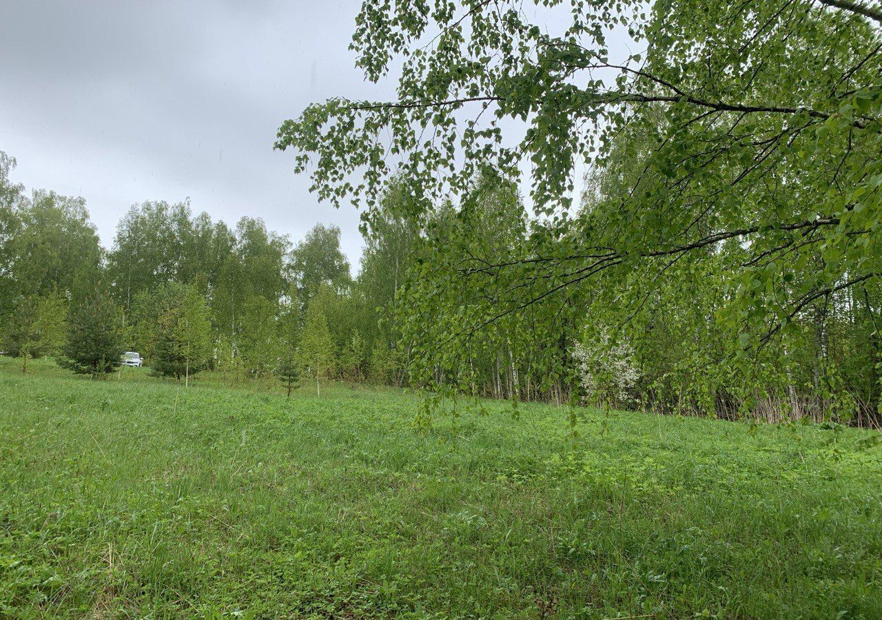 земля городской округ Клин д Бутырки 66 км, Рогачево, Рогачёвское шоссе фото 6