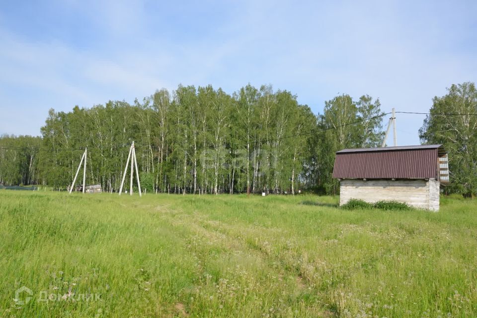 земля р-н Ирбитский Екатеринбург, посёлок Широкая Речка фото 3