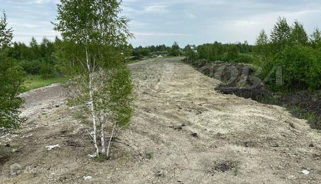 ул Абалакская городской округ Тюмень фото