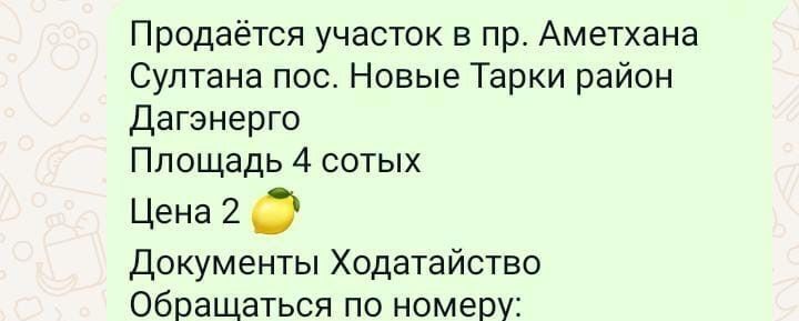 земля г Махачкала р-н Ленинский пр-кт Амет-хана Султана фото 4