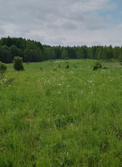 земля городской округ Переславль-Залесский, деревня Подберезье фото 1