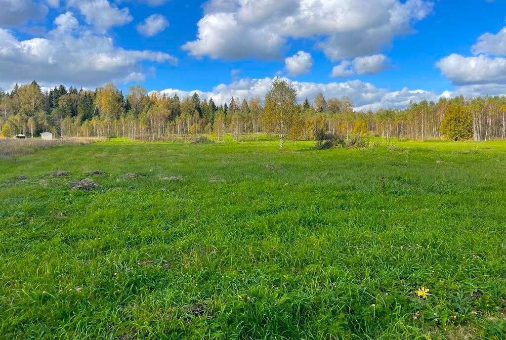 земля городской округ Наро-Фоминский д Настасьино фото 6