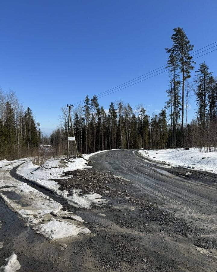 земля р-н Прионежский д Ужесельга ул Центральная 29 Деревянское сельское поселение, Петрозаводск фото 9