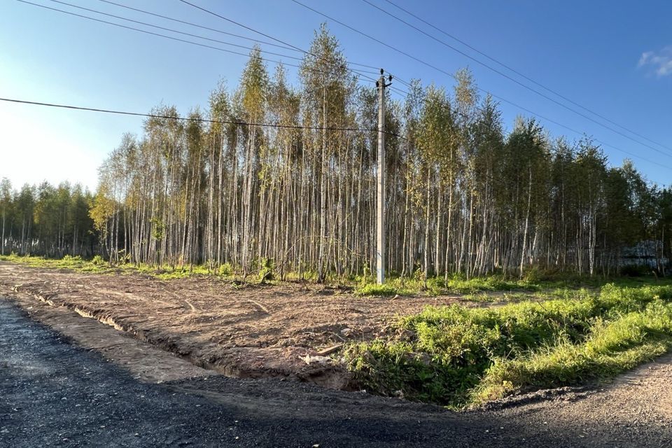 земля городской округ Дмитровский деревня Афанасово фото 3