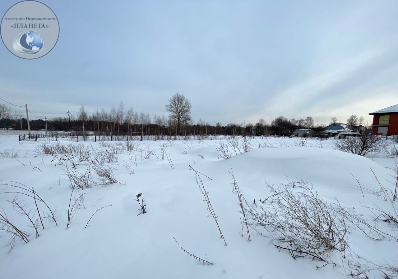 земля городской округ Богородский д Загорново 29А, Ногинск фото 6