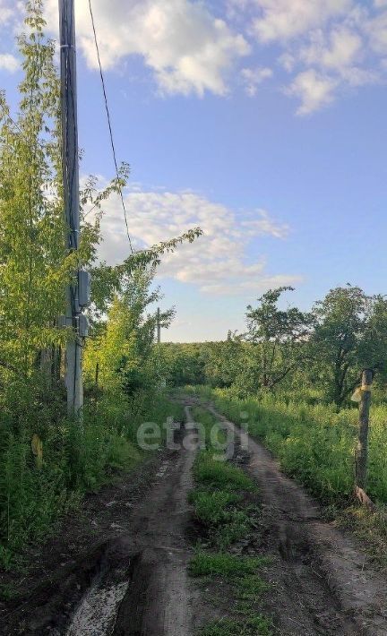 земля г Саранск р-н Ленинский снт Зеленый Друг фото 1