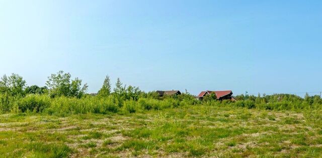 Колтушское городское поселение, Изумруд кп, Ломоносовская фото