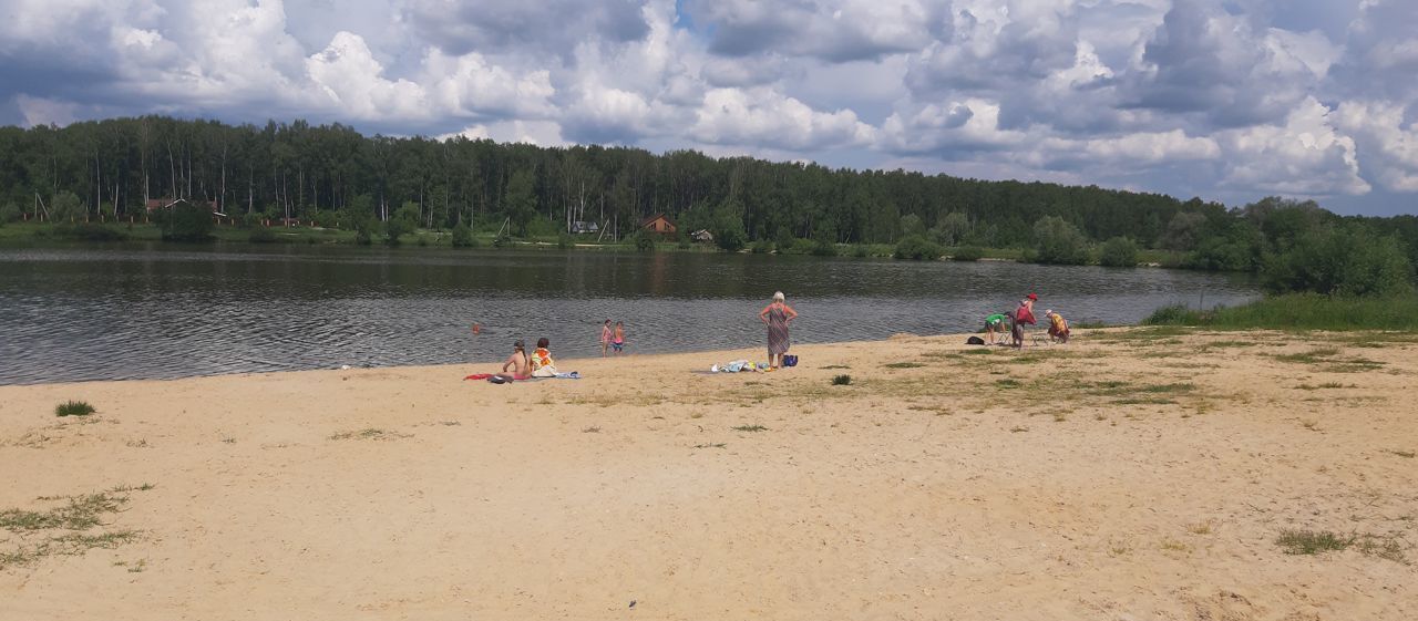 дом городской округ Чехов д Филипповское 59, ДНТ Белое Озеро, Чехов фото 35