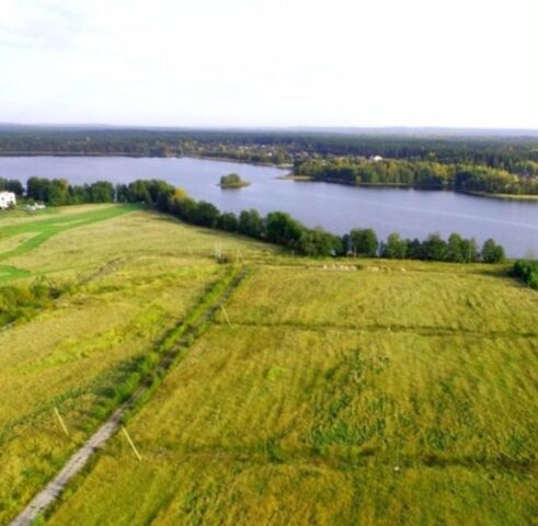 Раздольевское сельское поселение, Сосново фото Раздольевское сельское поселение, Сосново фото