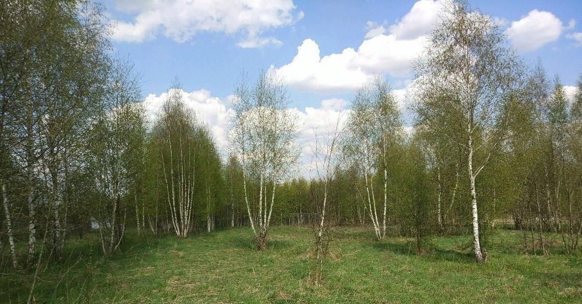 земля г Переславль-Залесский Гагаринские Дачи кп, 53 фото 1