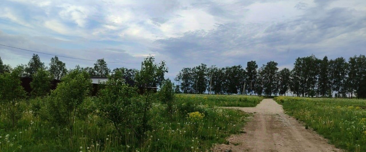 земля р-н Волосовский п Каложицы Большеврудское с/пос, Балтийская фото 3