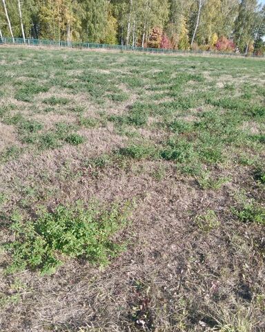 Карлыганское сельское поселение, Респ Татарстан, Балтаси фото Карлыганское сельское поселение, Респ Татарстан, Балтаси фото