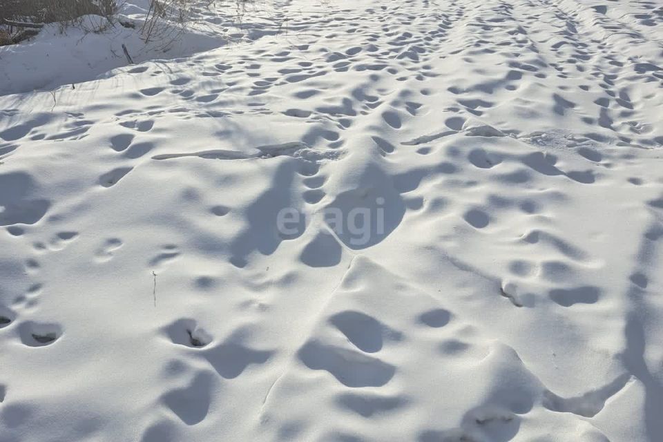 земля г Благовещенск пл Ленина городской округ Благовещенск фото 5