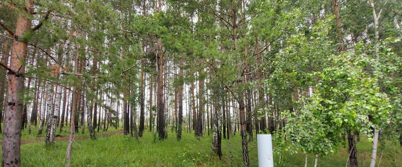 дом г Екатеринбург Ботаническая Улесье кп, ул. Русская, 184 фото 28