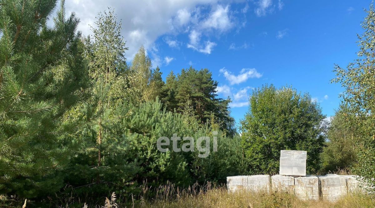 земля р-н Костромской с Минское с Минское старое фото 16