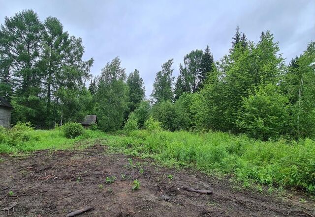 ул Заречная Большелугское муниципальное образование фото