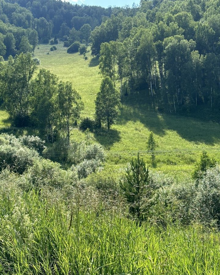 земля р-н Алтайский п Басаргино Алтайское фото 18