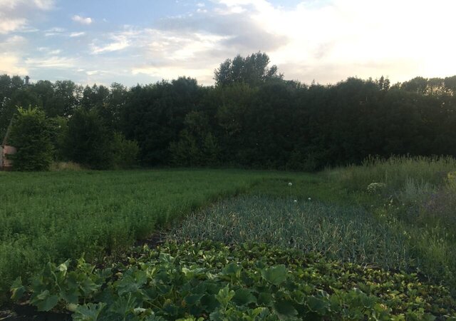 земля ул Дзержинского Аннинское городское поселение фото
