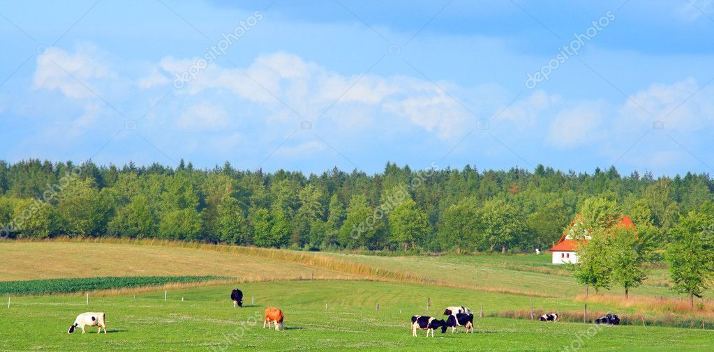 земля р-н Суксунский д Каменка фото 3