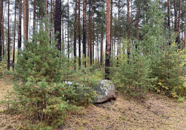 ул Гривенная Полянское сельское поселение, Песочное фото