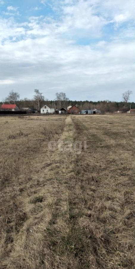 земля р-н Добровский с Кореневщино ул Пушкина Липецк фото 2