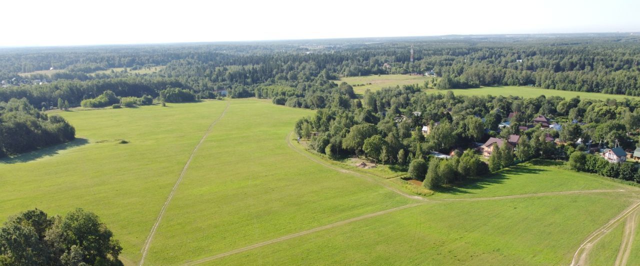 земля Пушкинский городской округ, Калистово кп фото 5