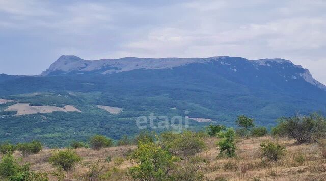 с Лучистое ул Ай-Серез фото