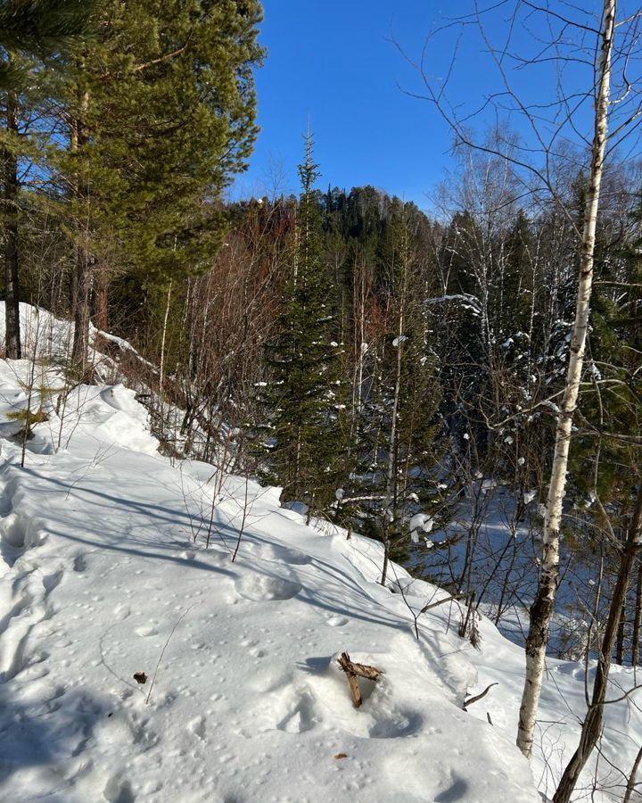 земля р-н Турочакский с Артыбаш Турочак фото 6