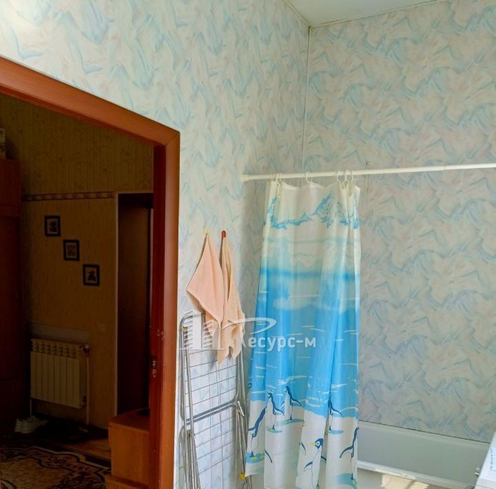 дом г Выкса с Борковка проезд Рожновский фото 30