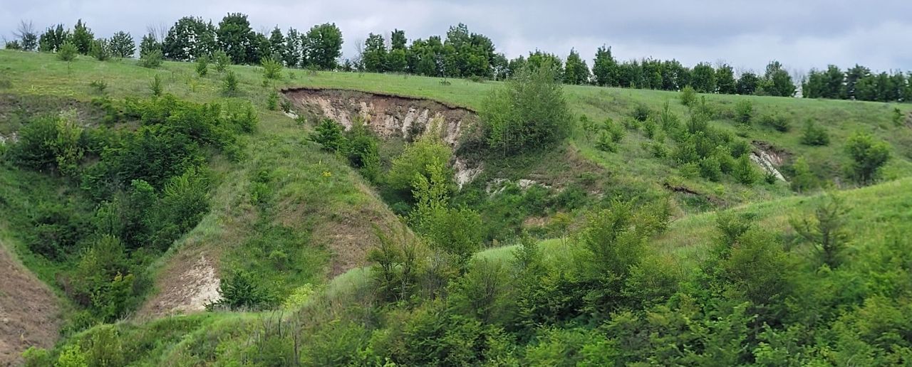 земля р-н Хохольский Хохольское городское поселение фото 35