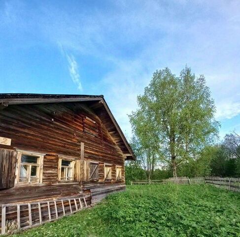 д Новиковская Шенкурский муниципальный округ фото