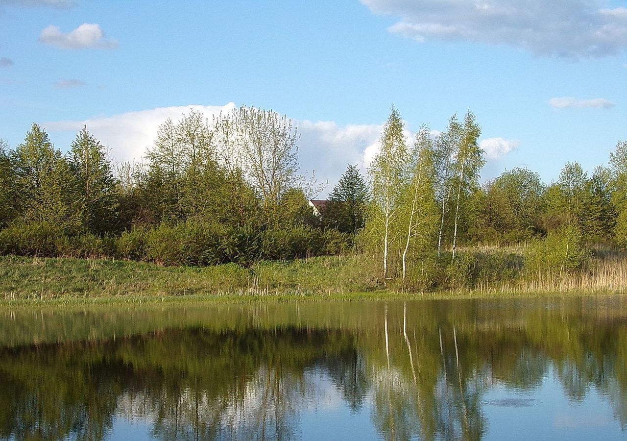 земля городской округ Чехов д Сенино Чехов фото 5