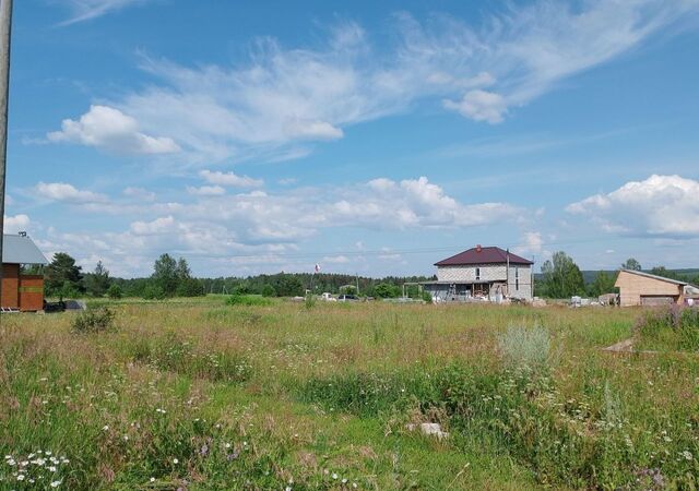 ул Студенческая Кунгур фото