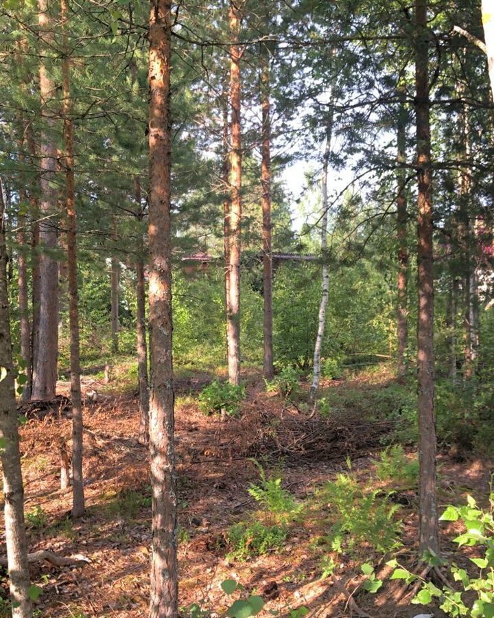 земля р-н Гатчинский массив Новинка Вырицкое городское поселение, Дружная Горка фото 4