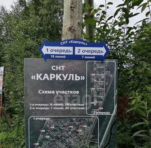 снт тер.Каркуль фото