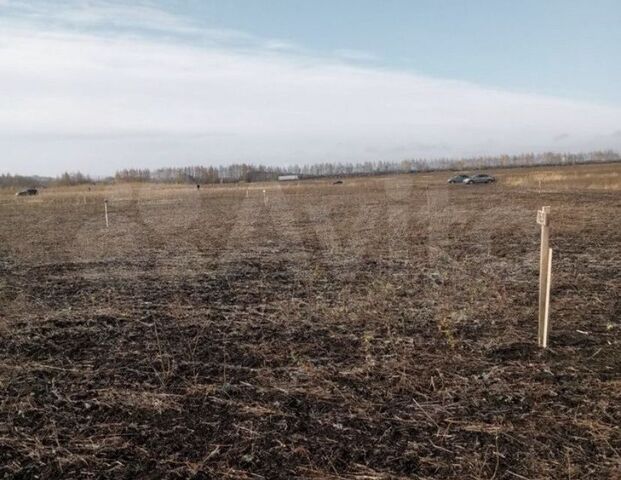 Ленинский район, городской округ Ульяновск фото