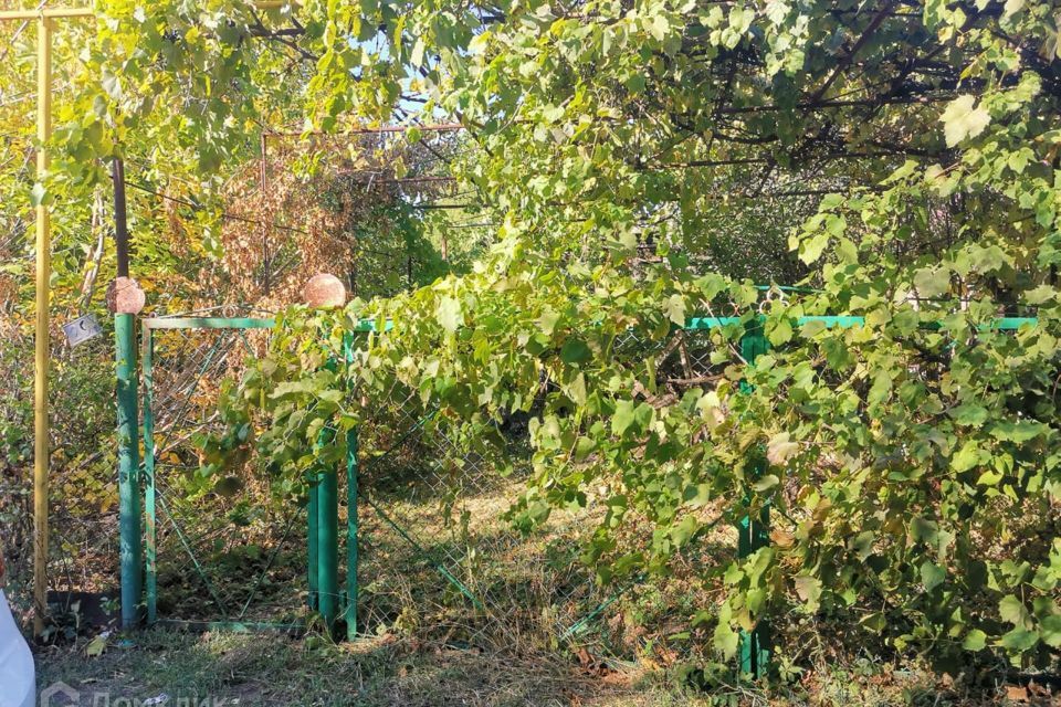 земля р-н Неклиновский х Мержаново пер Октябрьский фото 3