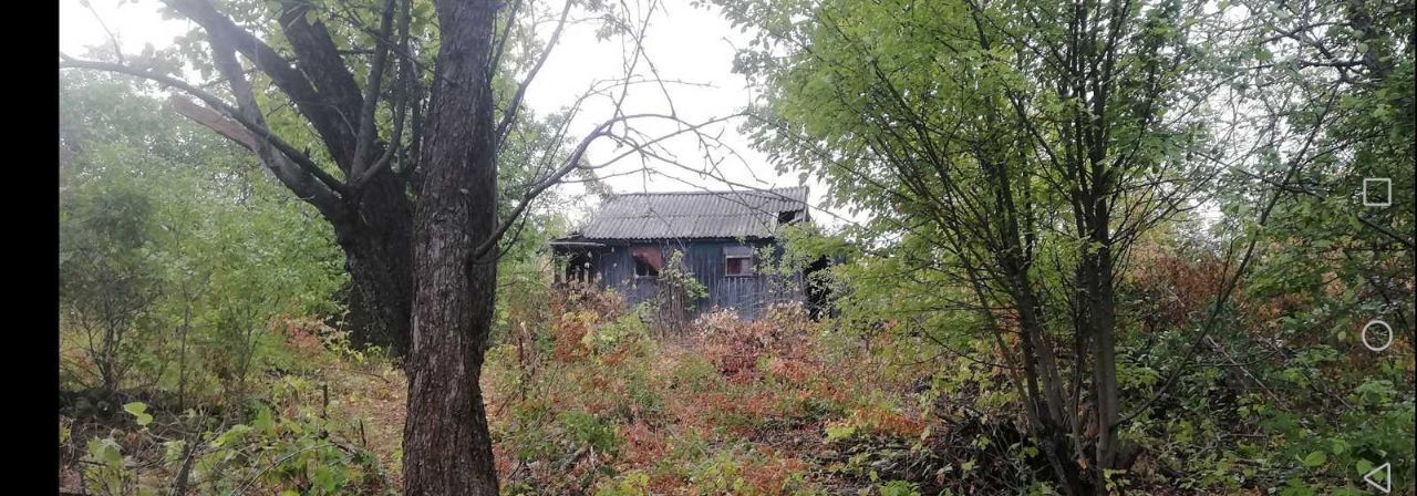 земля г Ульяновск р-н Ленинский снт Ягодка фото 1