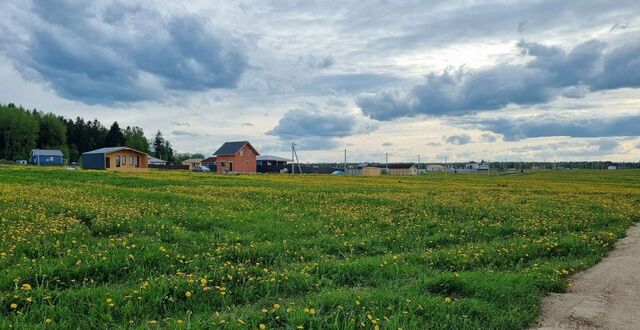 Виллозское городское поселение фото