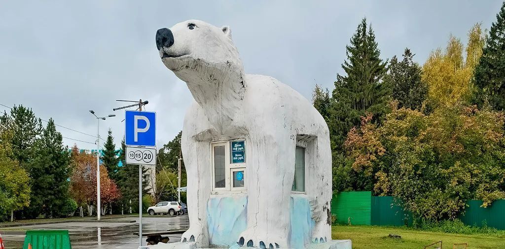 квартира г Новосибирск метро Площадь Гарина-Михайловского ул Челюскинцев 14 фото 28