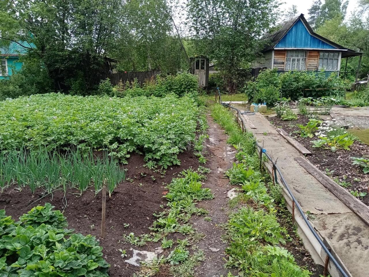 дом г Нижний Тагил р-н Ленинский снт им. Тимирязева фото 2